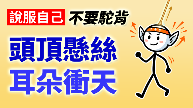 4py封面